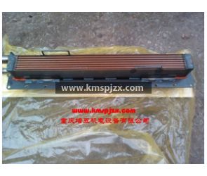 供應(yīng)康明斯4910355中冷器芯3001299